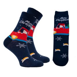 Krabička Vánočních Ponožek (P) | 7 PÁRŮ [40-46]